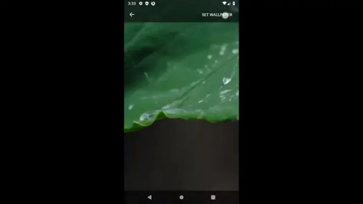 Set Video Wallpaper android App screenshot 1